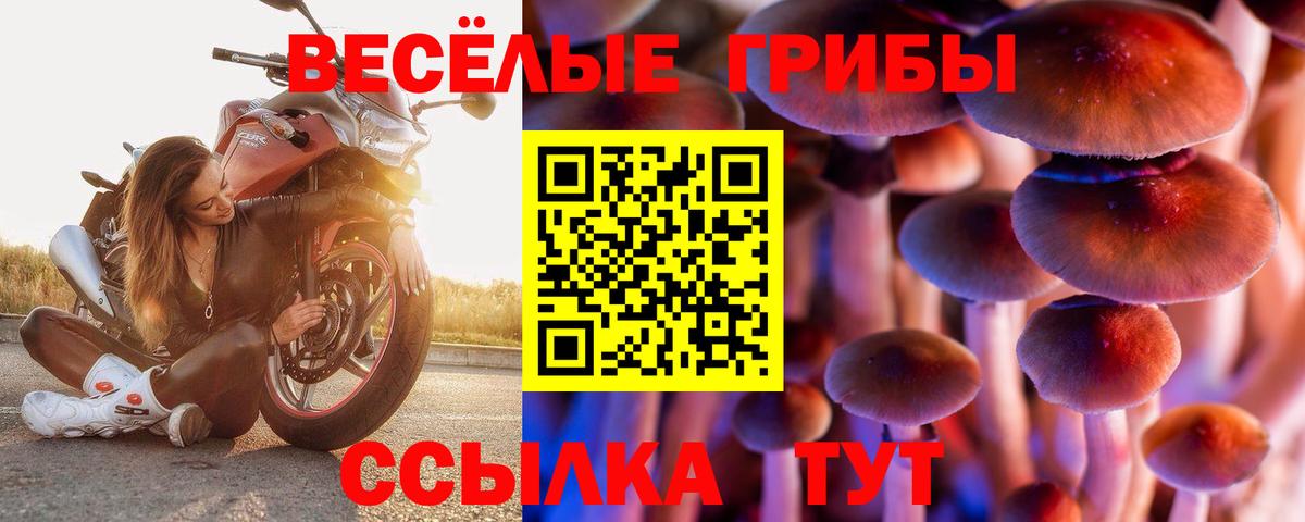 Усолье-Сибирское  Галлюциногенные грибы Psilocybine cubensis  Вход с VPN  Псилоцибиновые грибы Cubensis 